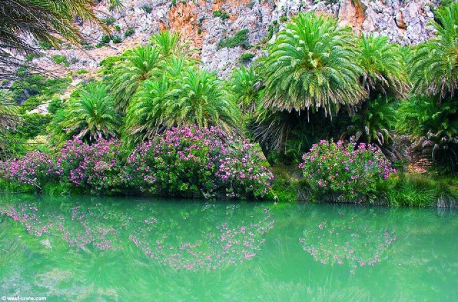 From Rethymno: Preveli Palm Beach and Kourtaliotiko Day Trip - Is $25 a good value?