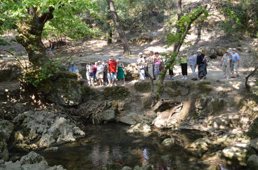From Rhodes: Bus Tour to Lindos and the Seven Springs - What this Rhodes day trip really offers