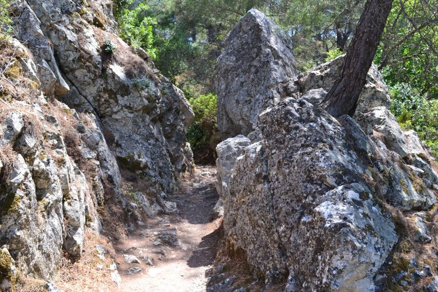 From Rhodes: Lindos and 7 Springs Valley Bus Tour - Is the $31 price good value?