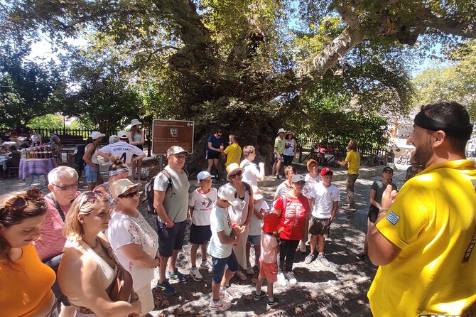 Full Day 4x4 Self-Drive Safari Tour in Crete with BBQ Lunch - What this Crete self-drive safari is really like