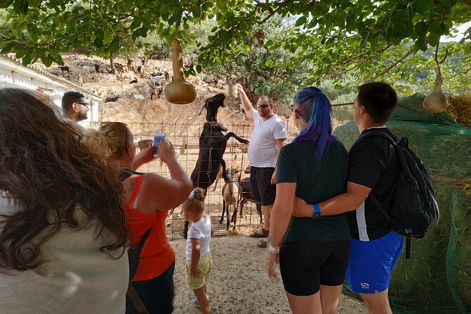 Full-Day Jeep Safari Tour with Cooking Lesson - Ano Kera and the rough road through Ebassas gorge