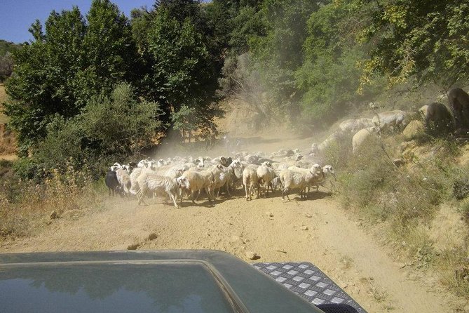 Full-Day Land Rover Safari from Heraklion with Lunch - Lassinthos Eco Park and village life