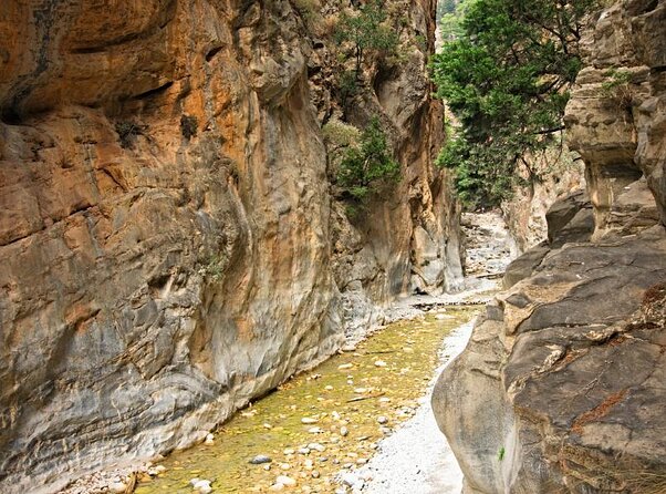 Full-Day Samaria Gorge Chania Guided Tour - Sixteen kilometers through Samaria Gorge