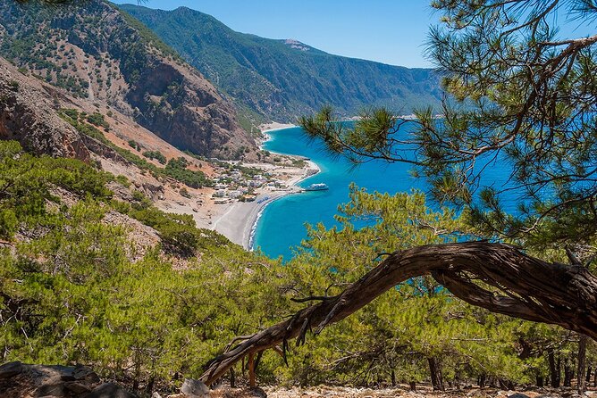 Full-Day Samaria Gorge Chania Guided Tour - The real price: $36.20 plus €24