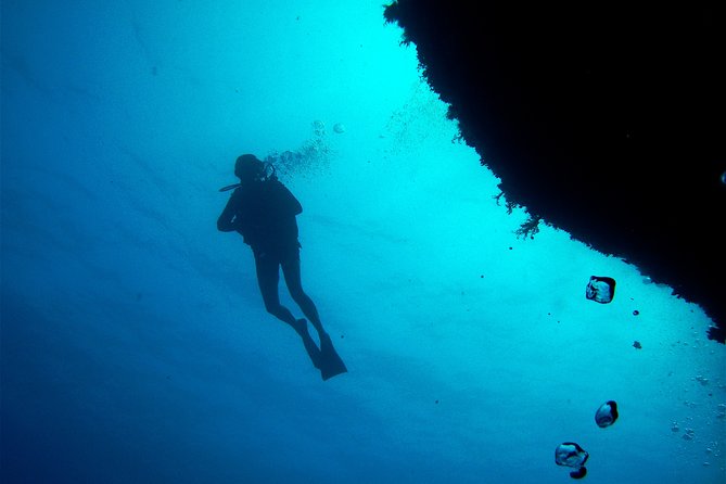 (Full day)Scuba Diving in Rhodes - The first underwater session