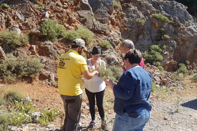 Full-Day Small-Group Tour in Crete with Zeus Cave Visit - The Lasithi Plateau windmills