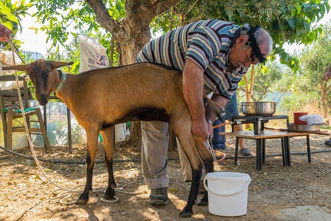 Full-Day Small-Group Tour in Crete with Zeus Cave Visit - Food, cooking, and a proper Cretan lunch