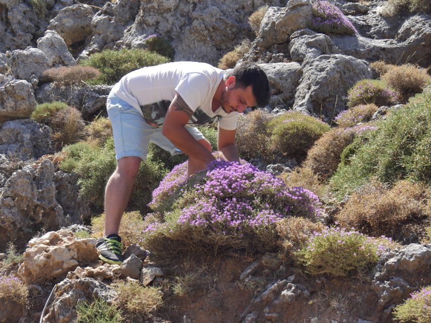 Georgioupolis Full-Day Land Rover Safari Experience - Key points at a glance