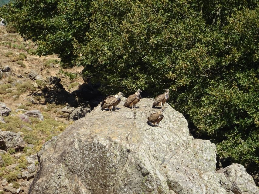 Georgioupolis Full-Day Land Rover Safari Experience - Why this safari gives you a different Crete