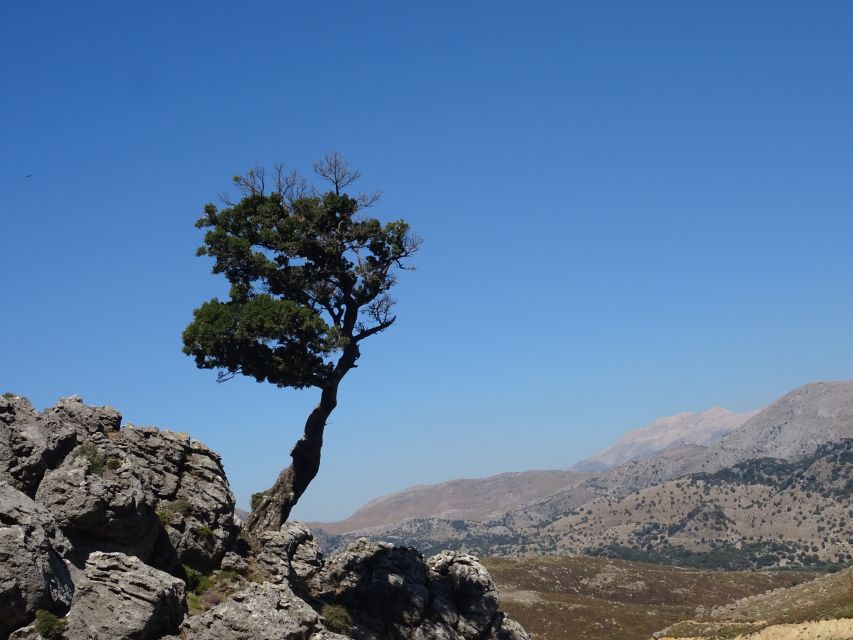 Georgioupolis Full-Day Land Rover Safari Experience - The White Mountains and the off-road climb