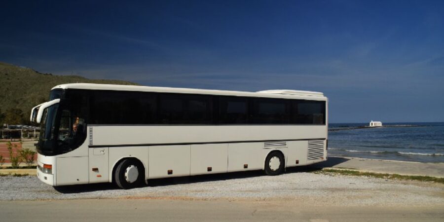 Georgioupolis: Preveli Palm Beach Day Trip by Bus and Boat - Two hours among the palms at Preveli Beach
