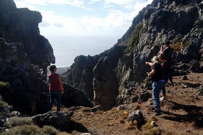 Georgioupolis Safari Off Road Tours Outdoor Activities Land Rover Defender - Apokoronas olive oil, from fruit to bottle