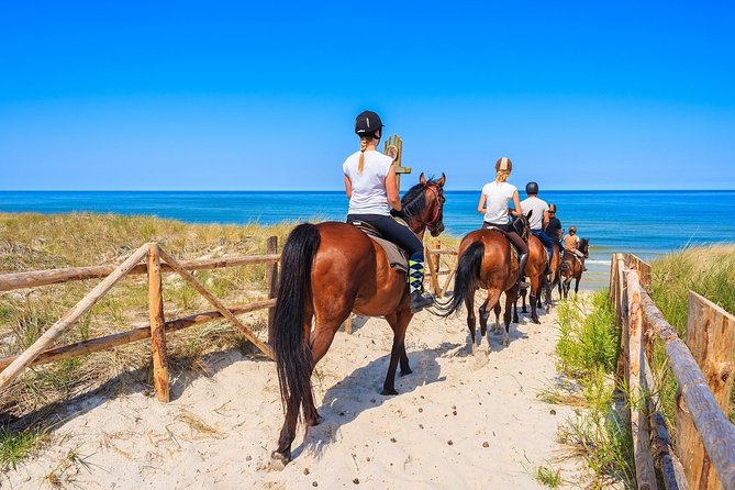 Golden Hour Gallop: Evening Ride in Paros - Golden Hour Gallop at a glance