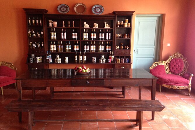 Gourmet Journey: 12-Course Lunch, Wine Tasting & Culinary Session - Walking the vineyard and learning the local wine story