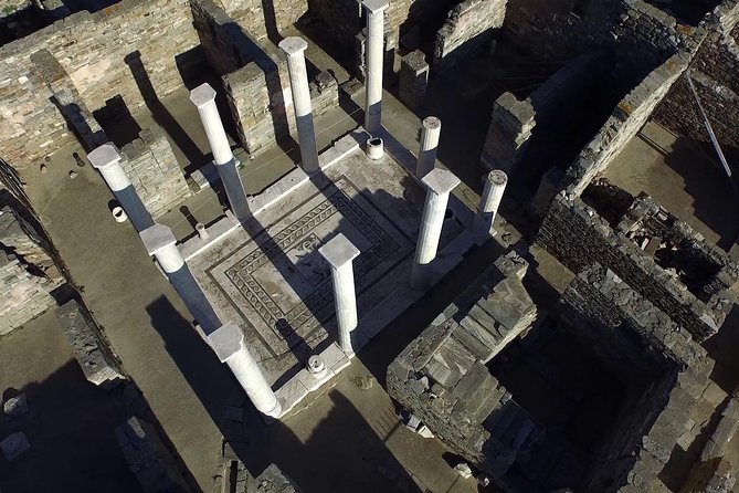 Half-Day Delos Tour from Mykonos - Walking through the Hellenistic City
