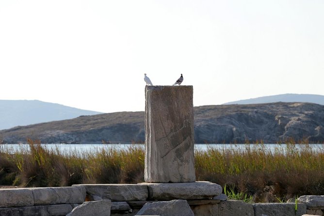 Half-Day Delos Tour from Mykonos - The Theatre, cistern, and old market streets
