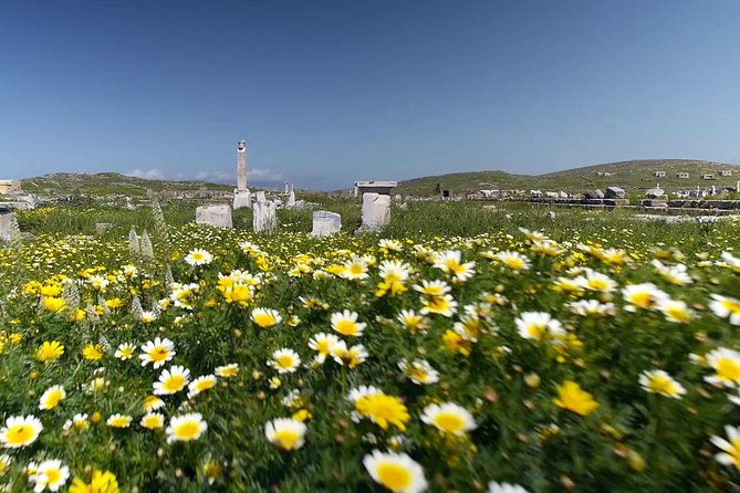 Half-Day Delos Tour from Mykonos - Temples, marble gifts, and the Sacred Lake