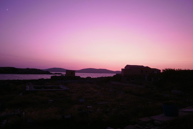 Half-Day Delos Tour from Mykonos - The museum and the problem of limited free time