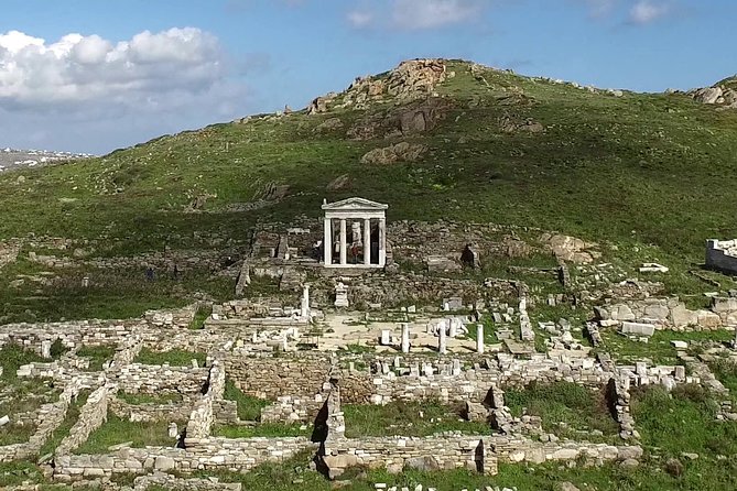 Half-Day Delos Tour from Mykonos - Price, extra fees, and overall value