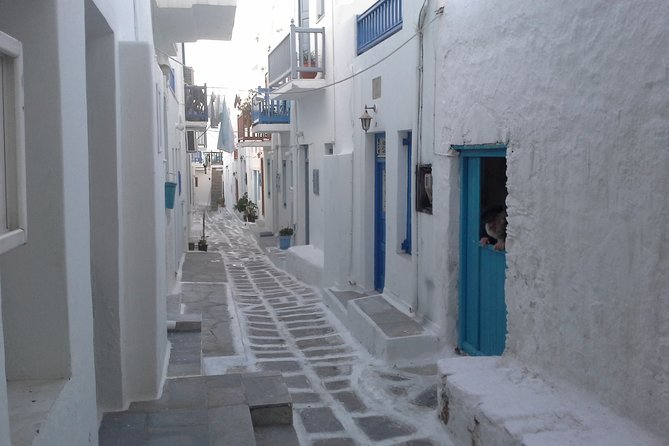 Half-Day Private Guided Tour in Mykonos - Ano Mera and a Taste of Local Bakery Life