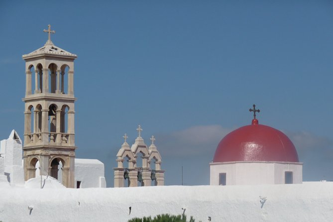 Half-Day Private Guided Tour in Mykonos - Agrari Beach, Paradise Beach, and the Swimming Question