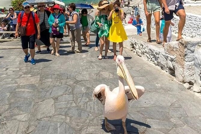 Half-Day Private Guided Tour in Mykonos up to 6 - Agios Ioannis and the southwest coast