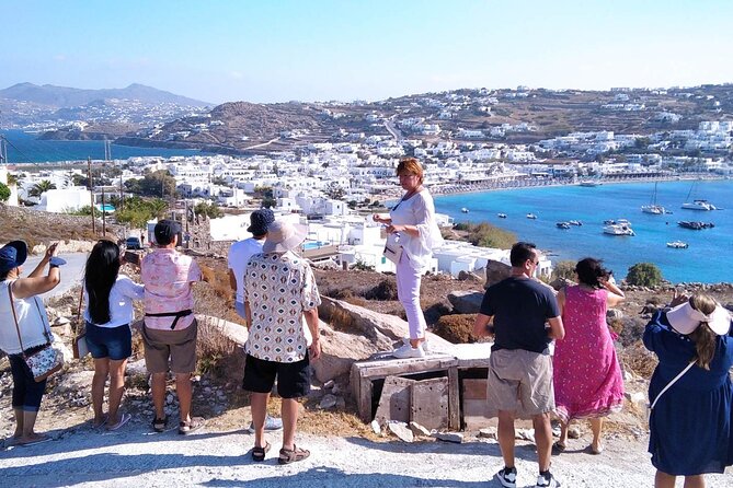 Half-Day Private Guided Tour in Mykonos up to 6 - Kalo Livadi and the distant beaches