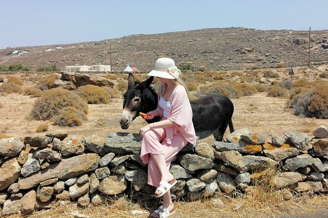 Half-Day Private Guided Tour in Mykonos up to 6 - Agrari Beach, Paradise Beach, and choosing your finish