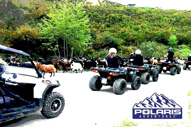 Half-Day Rethymno Quad Safari - Thavma offers views, food, and a short village pause