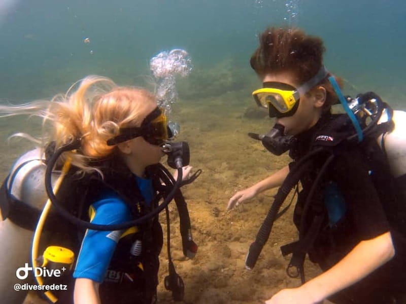 Halkidiki-Kassandra: Scuba Diving for Beginners - What the small group means in practice