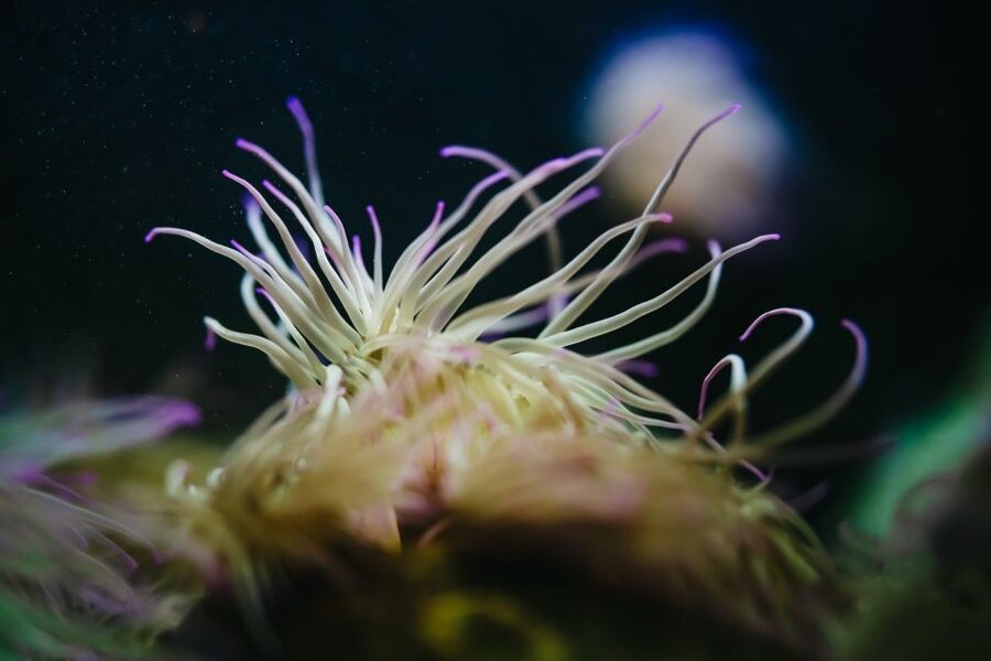 Heraklion Area: CRETAquarium Admission Ticket - Who will enjoy CRETAquarium most?