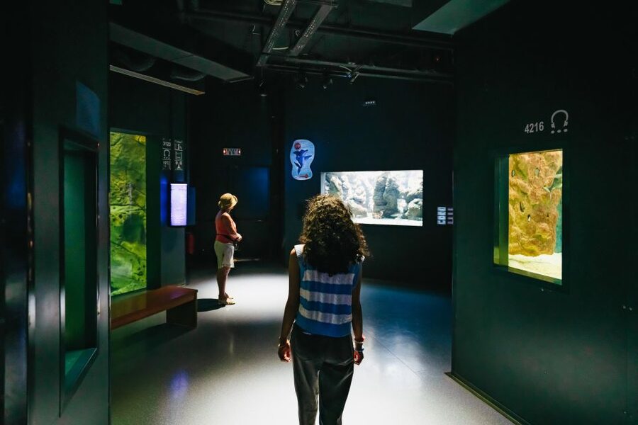 Heraklion Area: CRETAquarium Admission Ticket - Why the research connection matters