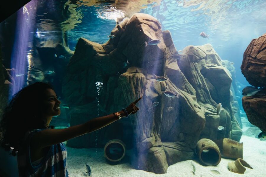 Heraklion Area: CRETAquarium Admission Ticket - Planning your visit from Heraklion, Hersonissos, or Malia