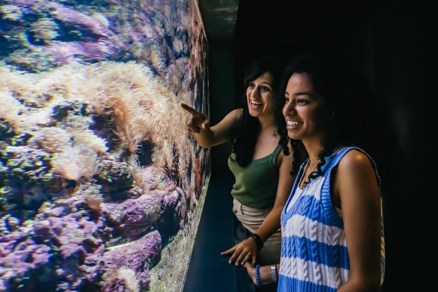 Heraklion Area: CRETAquarium Admission Ticket - The best time to arrive