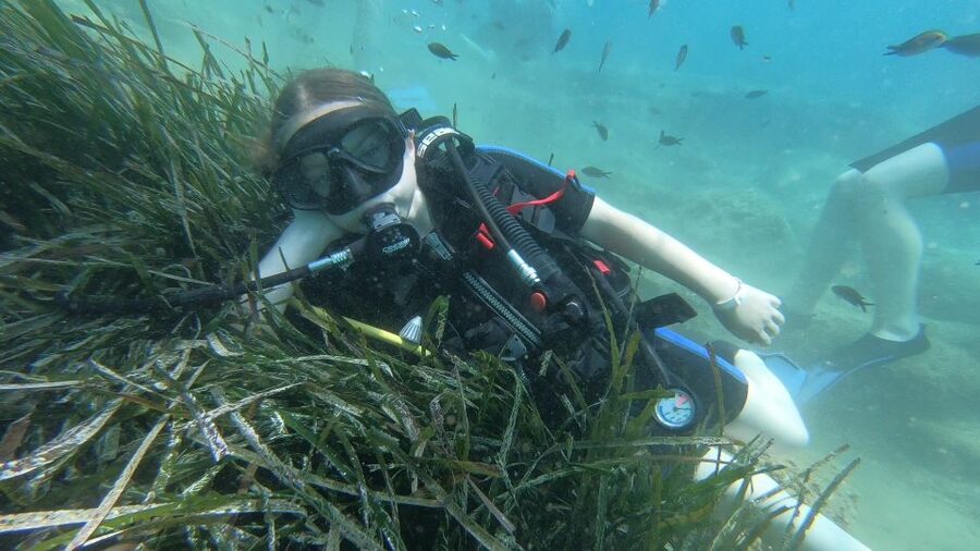 Heraklion: Beginner Scuba Diving Lesson with PADI Instructor - Who should book this experience?