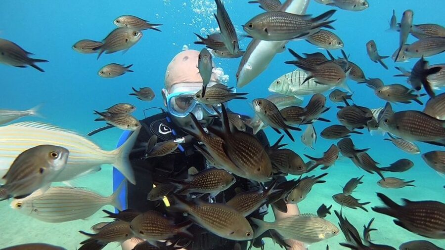 Heraklion: Beginner Scuba Diving Lesson with PADI Instructor - What the instructors do well