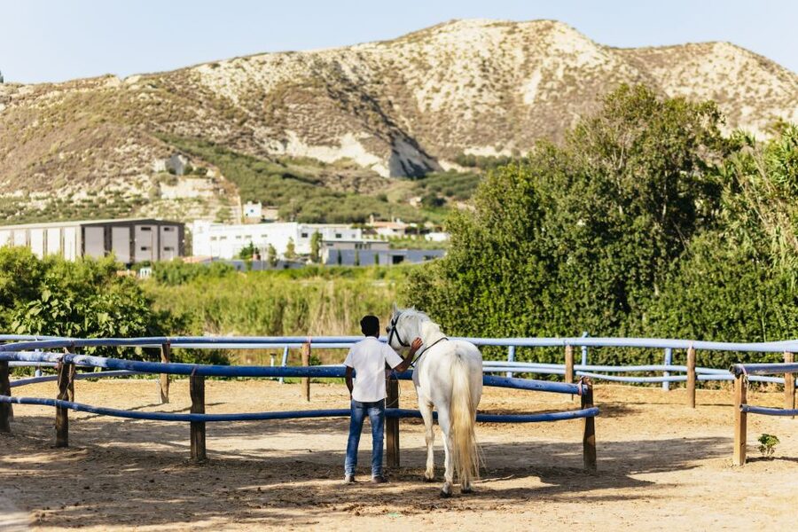 Heraklion: Finikia Horse Riding Tour with Lunch or Dinner - Key points to know before you book