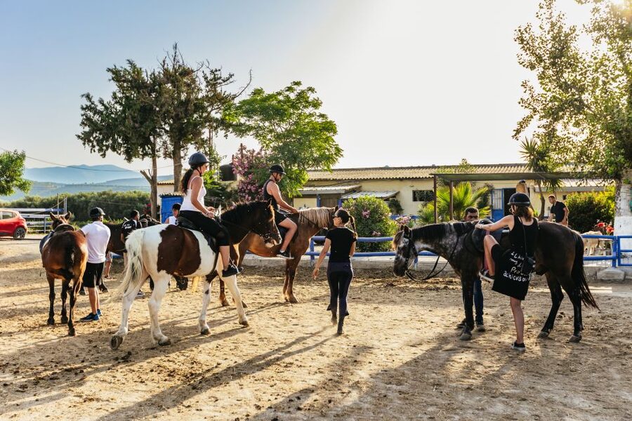 Heraklion: Finikia Horse Riding Tour with Lunch or Dinner - A few limits worth taking seriously