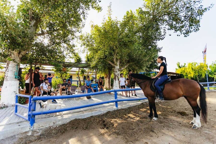 Heraklion: Finikia Horse Riding Tour with Lunch or Dinner - Horse welfare and rider safety