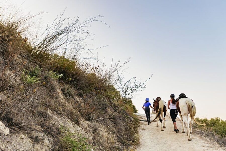 Heraklion: Finikia Horse Riding Tour with Lunch or Dinner - What the $94 price really includes