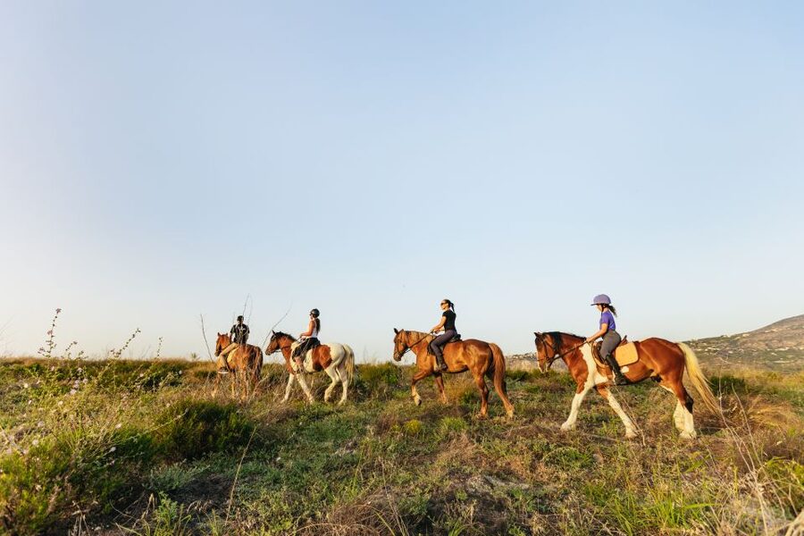 Heraklion: Finikia Horse Riding Tour with Lunch or Dinner - Who should choose the afternoon and dinner