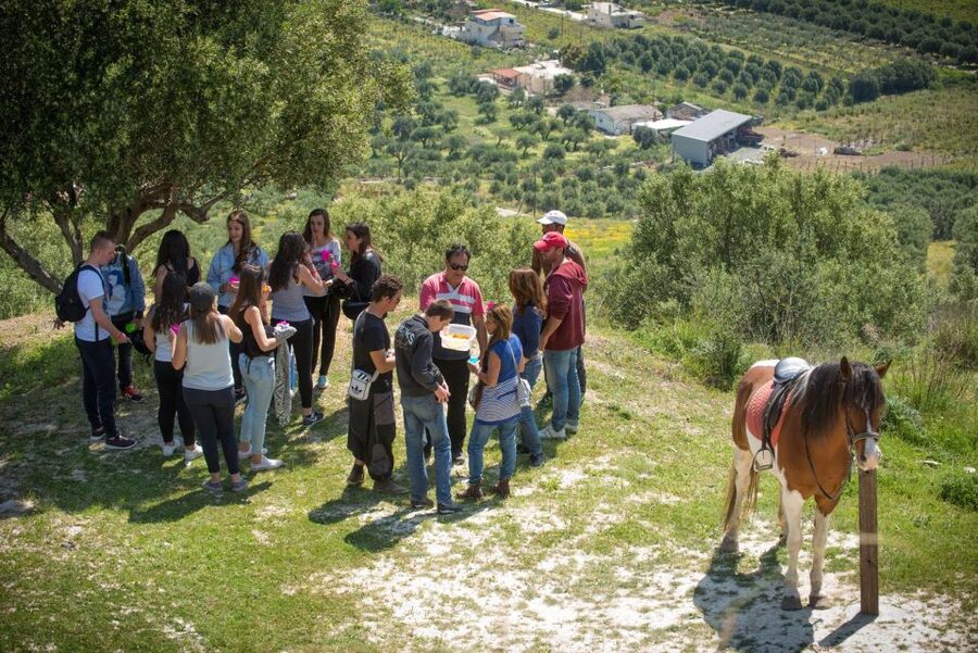 Heraklion: Horseriding Day Tour with Lunch and Transfer - Meeting the horses and choosing the right pace