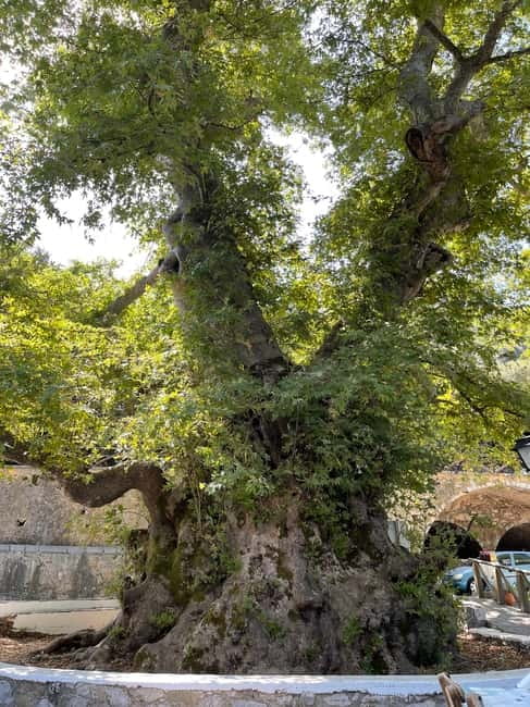 Heraklion: Knossos, Zeus, Villages & Olive Oil Factory Tour - Zeus, mythology, and the cave question
