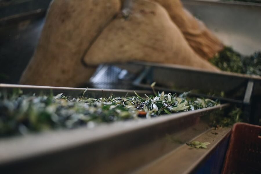 Heraklion: Olive Farm Tour with Tasting of Local Delicacies - Why this small farm visit matters