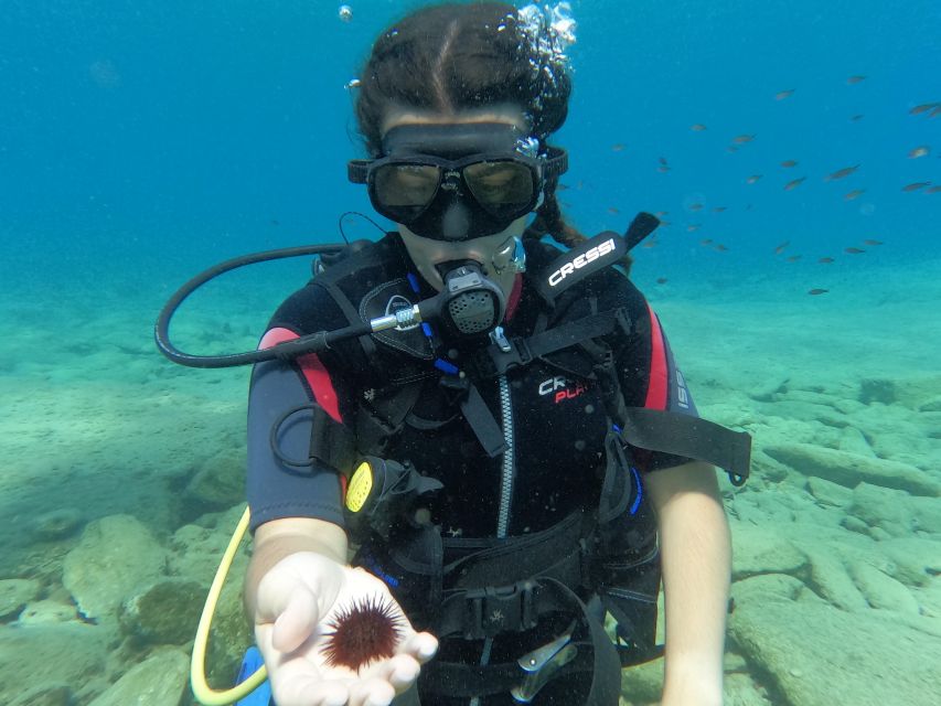 Heraklion: Scuba Diving Experience for Beginners _Beach - Practical tips for a smoother morning