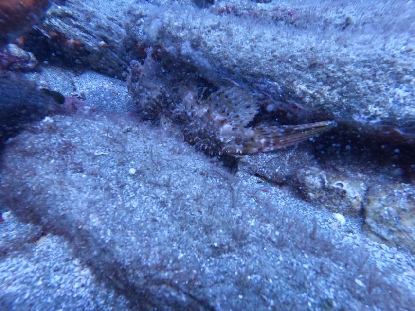 Heraklion: Scuba Diving Experience for Beginners _Beach - Why Mononaftis Beach works for a first scuba experience