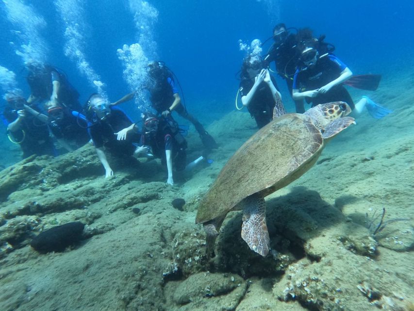 Heraklion: Scuba Diving Experience for Beginners _Beach - Transfers can save effort but cost you time