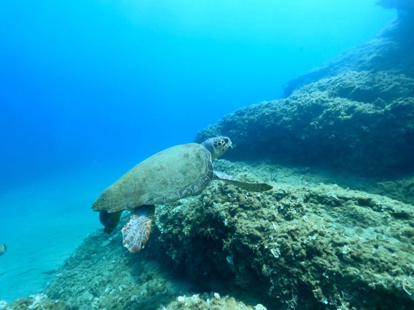 Heraklion: Scuba Diving Experience for First-Timers - What happens at the beach and in the water