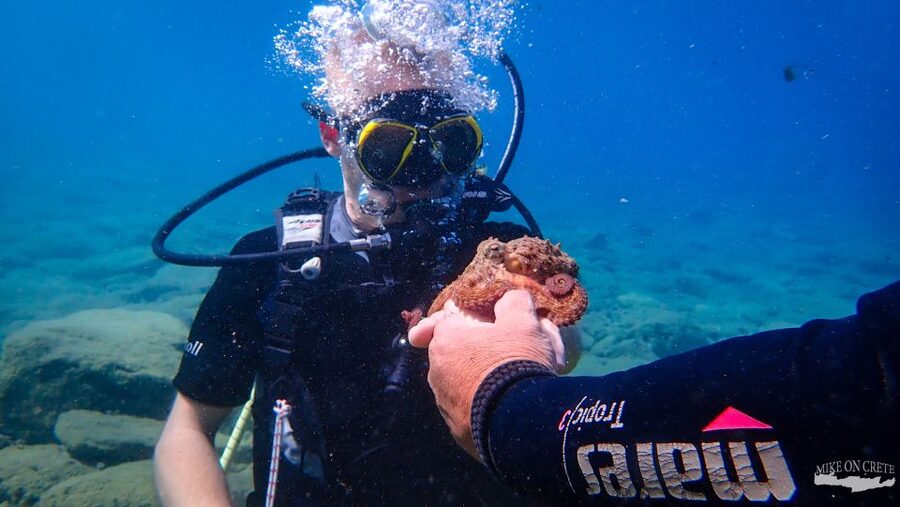 Heraklion: Scuba Diving Experience for First-Timers - The transfer can save you a hot walk