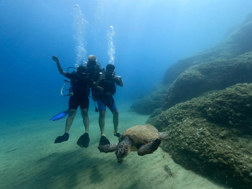 Heraklion: Scuba Diving Experience for First-Timers - Booking flexibility and languages